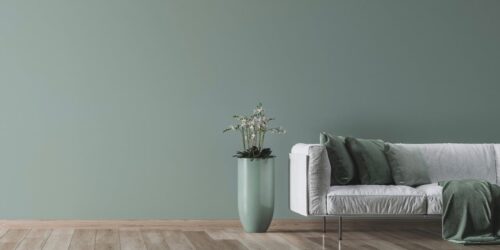 Detached Home for sale Port Coquitlam, BC Homes for sale, Business for sale, Team Dana & Amar, Real Estate